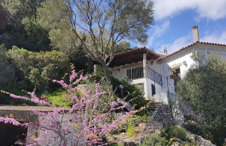 Belvedere Apartment Ac, Budoni - Foto 4