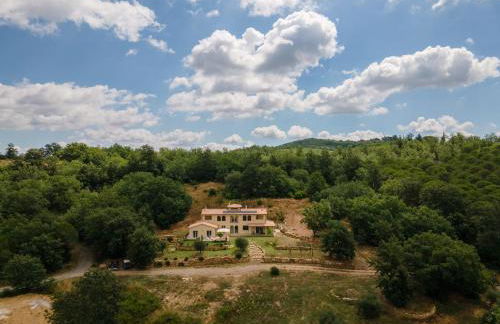 Col di Pietra - Foto 6