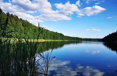 Leśne Domki Wejsuny - Foto 35