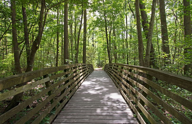 The Colony Virginia Beach by TripForth - Foto 56