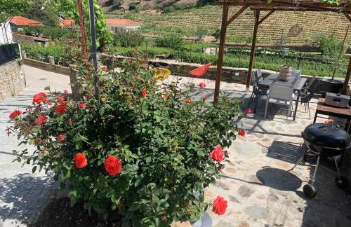 Valadouro Cottage Douro Vallée - Foto 42