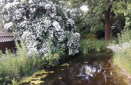 Ferienwohnung Radszys - Foto 32