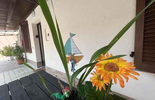 Green Villa - CityDoor - Foto 31