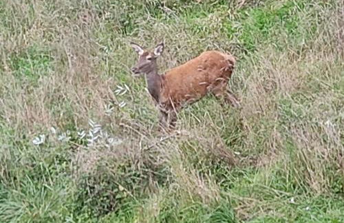 La Casina del Salice - Foto 34