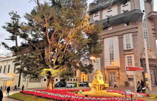 Suite Wagner - Foto 34