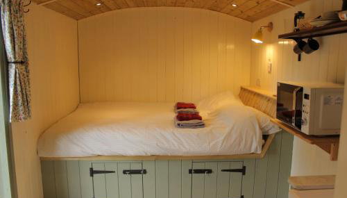 Cosy Shepherd's Hut with Hot Tub - Foto 5