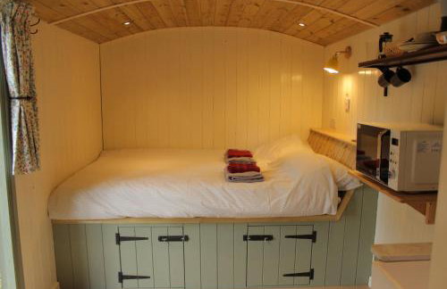 Cosy Shepherd's Hut with Hot Tub - Foto 5