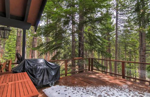 Bear Haus - Fur Babies Welcome! - Foto 21