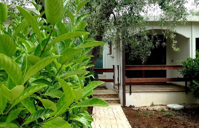 Holiday Apartment Orchidea With Swimming Pool and Private Beach -3 - Foto 28