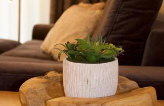 Residenz Grafenmatt Feldberg - Foto 8