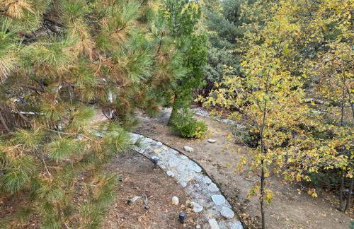 Gingerbread Gardens - Foto 29