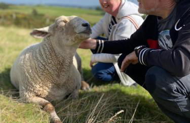 Unique Stay on an Alpaca Therapy Farm with Miniature Donkeys North Wales - Foto 19