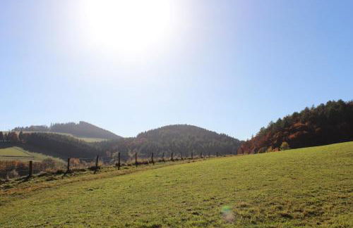 Ferienwohnung Emde - Foto 43