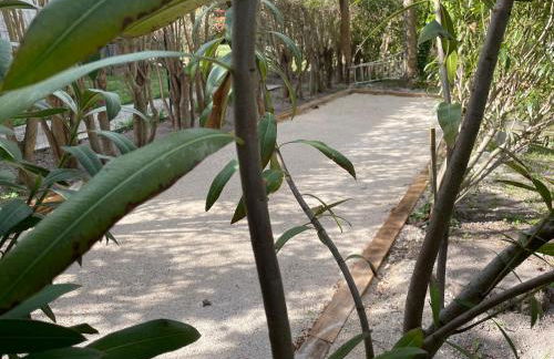 La Petite Rive - Les Tilleuls - Foto 22