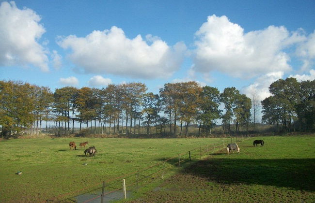 Le Manoir de Briquedalles - Foto 17