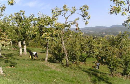 Agriturismo La Casina - Foto 26