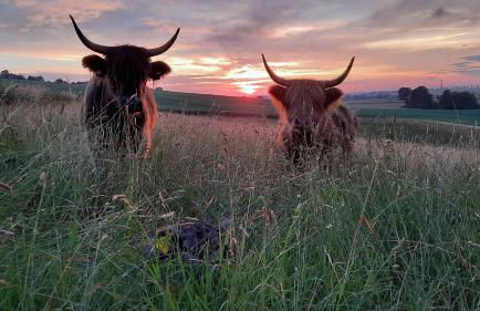 Ferienwohnung Blauregen - NEU ab März 2026 - Foto 11
