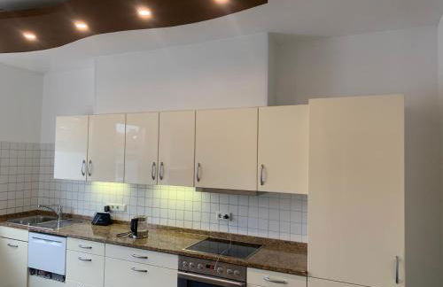 Großes Apartment Aschaffenburg 4 Schlafzimmer bis zu 10 Personen Mainpark Apartment Mainaschaff - Foto 80