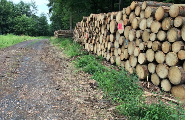 Cozy Apartment in Ellar With Garden - Foto 64