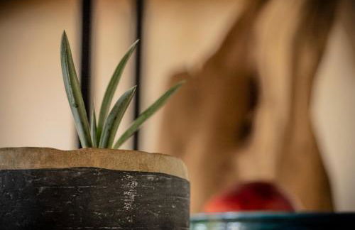 Magnifique appartement entre lac et montagne - Foto 16