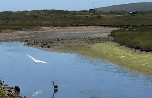 Sweet Creek - Photo 20