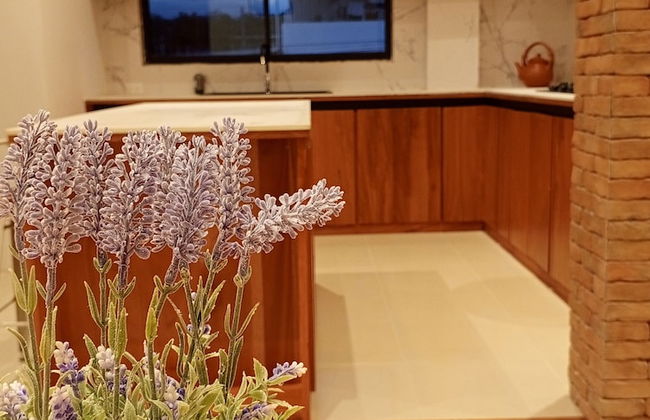 Galapagos Coliving Ecuador Casa Tuna - Photo 51