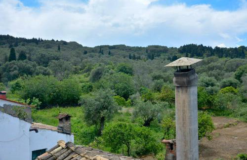 Balukas House - Foto 36