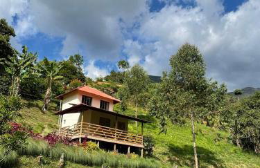 Chalé Roda Dágua A - Foto 1