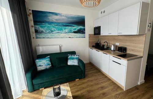 APARTAMENT BLUE II Sarbinowo Parking Basen Sauna - Photo 5