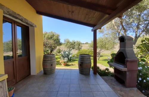 Agriturismo Campesi casale tra le vigne - Photo 62