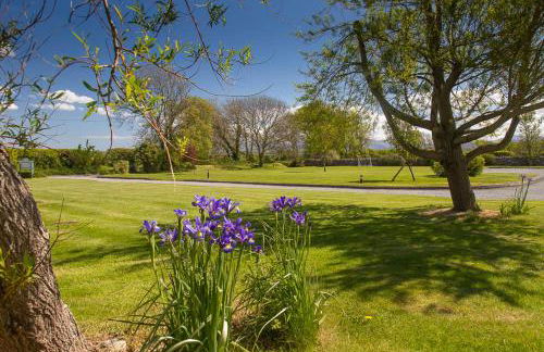 Carnedd Cottage - Foto 11
