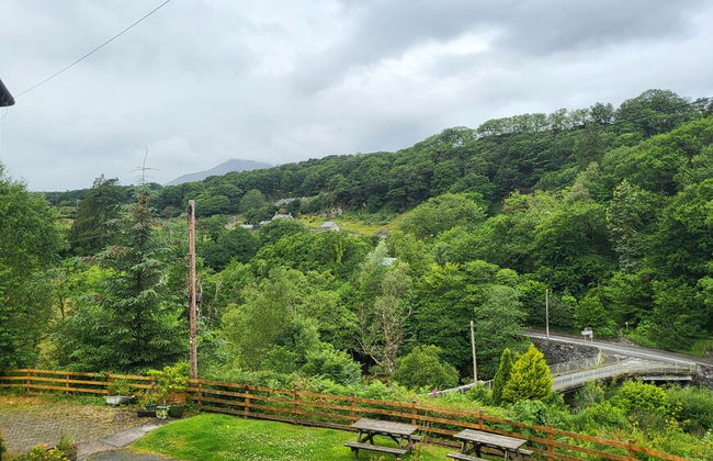 Plas Penaeldroch Manor - Foto 35