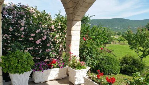 Almas - Foto 5, Other