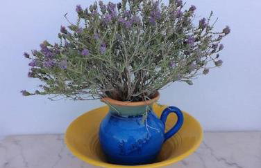 Blue Vista-Ikaria - Photo 7