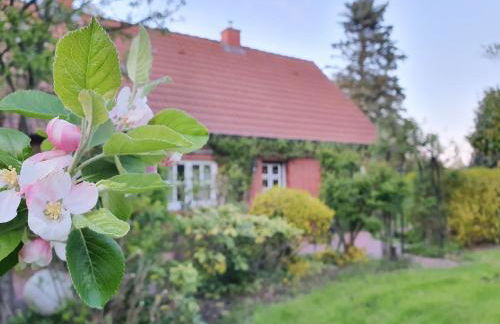 Dat moi lüttje Ostfreesen Landhuus - Foto 9
