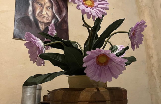 Preta Nera Van Gogh in Giuliano di Roma - Foto 33