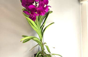 Modern Apartment in the heart of Guildford - Foto 20