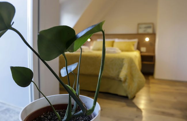 Gente del Sur - Cinco Hermanos - Foto 13