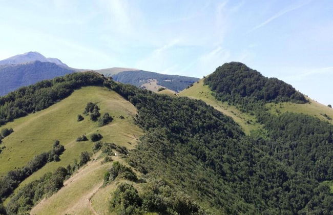 Belvilla by OYO Lupo - Foto 31