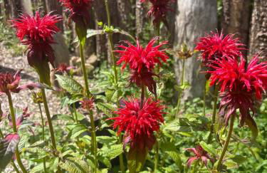 Cabin centrally Located in the Cornish Countryside - Foto 42