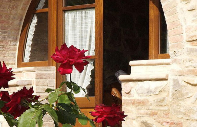 Agriturismo La casella - Foto 10