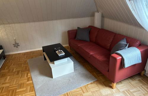 Nordheide mit Hund - Foto 5