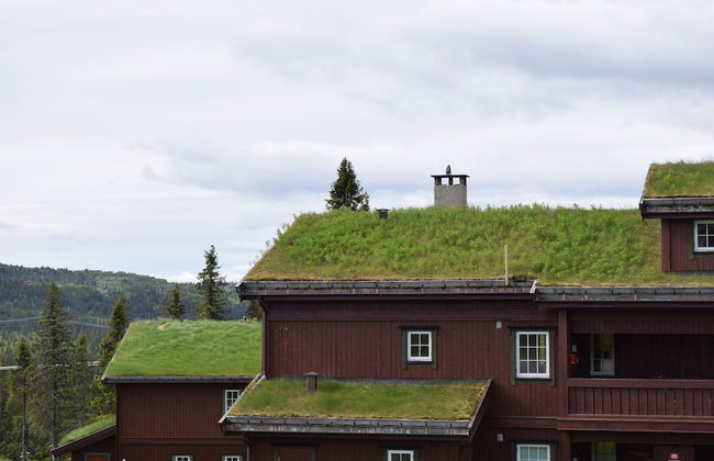 Skeikampen Booking - Foto 73