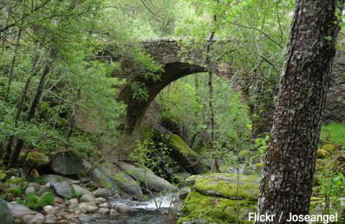 Alojamiento Turístico La alegría de la huerta - Foto 46