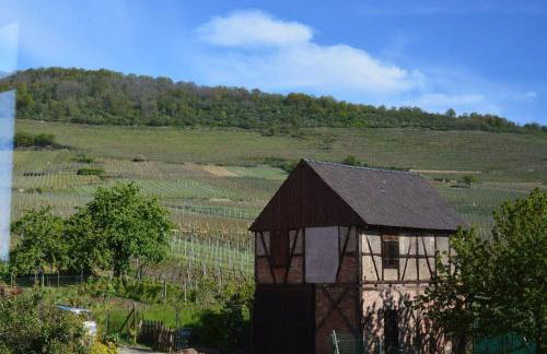 Au cœur du vignoble Alsacien - Foto 21
