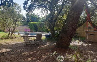 La Vigne et L'Olivier - Foto 19