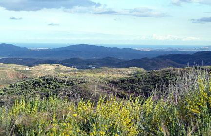 CASAS RURALES CORTIJO LEONTINO - Foto 65