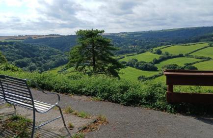 Hazel Cottage, Frithelstock - Foto 29