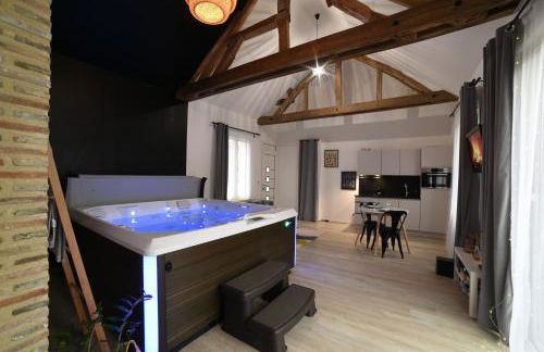 Eaudyssée maison avec SPA privée - Loiret - Photo 6