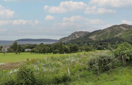 2 Cae Glas - Foto 32